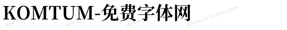 KOMTUM字体转换