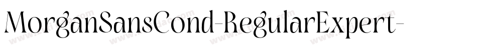 MorganSansCond-RegularExpert字体转换