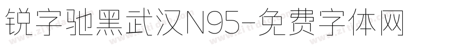 锐字驰黑武汉N95字体转换