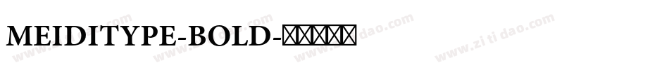 MEIDITYPE-BOLD字体转换
