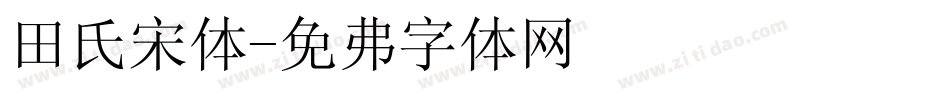 田氏宋体字体转换