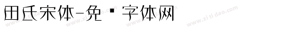 田氏宋体字体转换