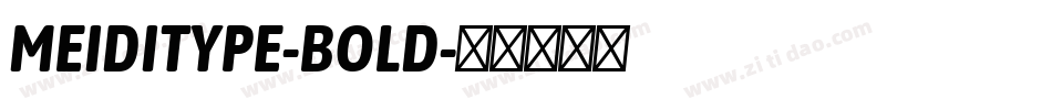 MEIDITYPE-BOLD字体转换