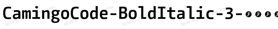 CamingoCode-BoldItalic-3字体转换